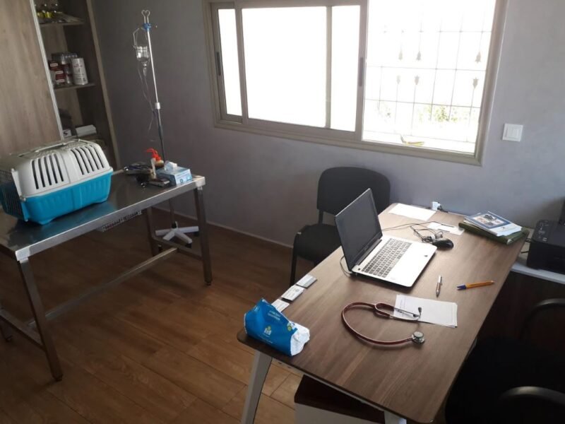 Cabinet Vétérinaire El Jadida - Dr.Salma Kandil