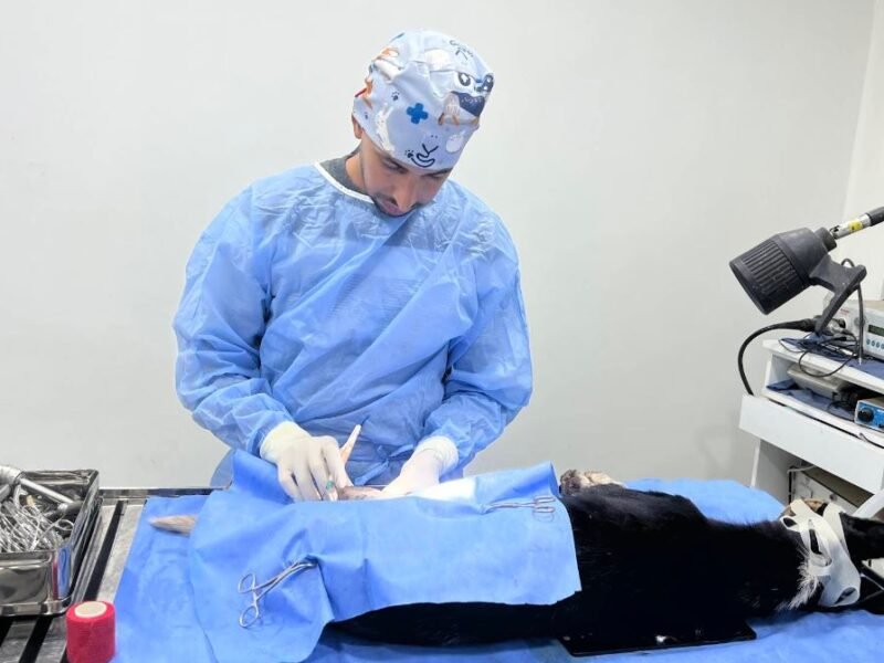 Cabinet Vétérinaire El Barhmi – Sidi Slimane