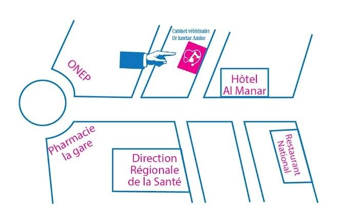 Docteur Vétérinaire Kawtar Amine – Oujda
