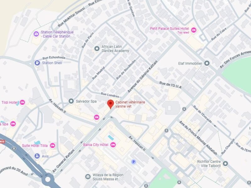 Cabinet Vétérinaire Agadir- Dr. Oumalk hasna