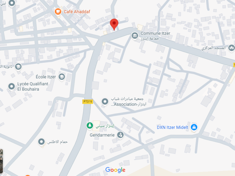 🏥 Cabinet Vétérinaire Itzer – Dr Oumane Hamza